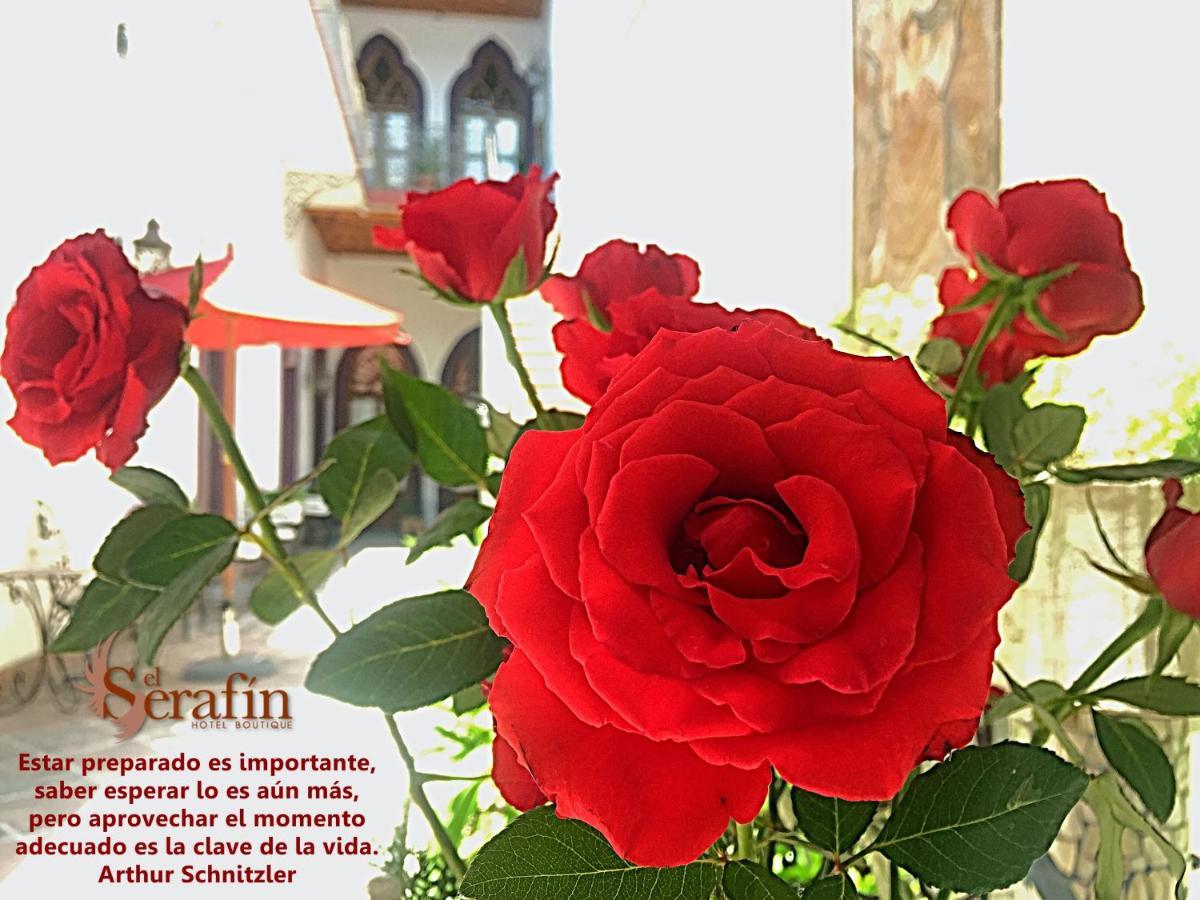El Serafin Hotel Boutique Queretaro Luaran gambar